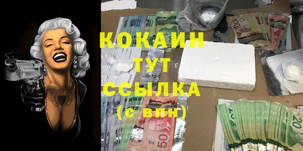 гидропоника Арсеньев
