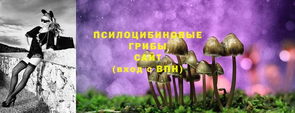 гидропоника Арсеньев