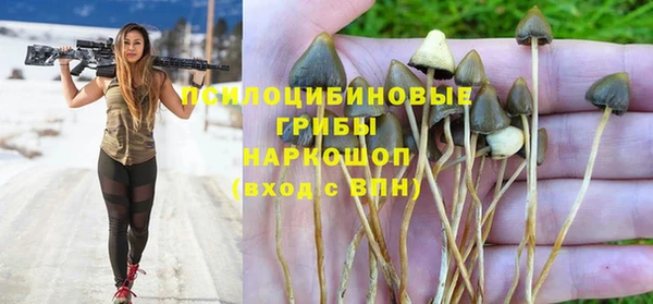 гидропоника Арсеньев