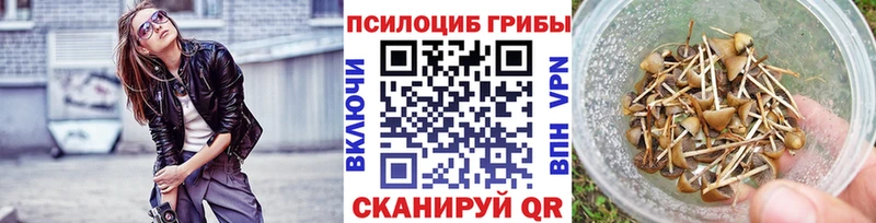 мега рабочий сайт  Усолье-Сибирское  Галлюциногенные грибы Psilocybe 